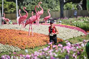 BIB: 
                            <button type="button" onclick="openModal(27793241)" class="btn btn-primary btn-sm float-right btn-popup" data-toggle="modal" data-target=".modal-high-quality">
                        <i class="fas fa-shopping-cart"></i> Add to Cart
                    </button>
                                            <button type="button" onclick="isThisMe(27793241, true)" class="btn btn-success btn-sm float-right btn-popup btn-isme hidden" data-toggle="tooltip" data-placement="bottom" title="นี่คือรูปของคุณใช่ไหม คลิกที่นี่เพื่อเอาเข้าอัลบั้ม">
                        <i class="fas fa-plus"></i> Add to album
                    </button>
                    <button type="button" onclick="isThisMe(27793241, false)" class="btn btn-warning btn-sm float-right btn-popup btn-isnotme hidden">
                        <i class="fas fa-ban"></i> Remove from album
                    </button>